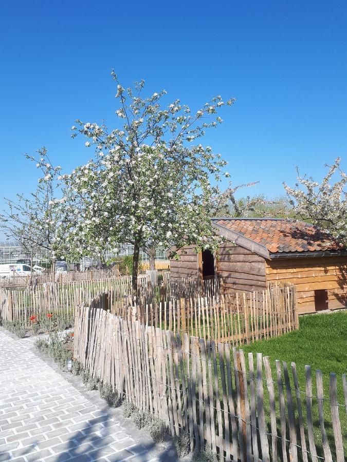 De Bonderbei Panzió Wellen Kültér fotó